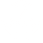 General Insurance